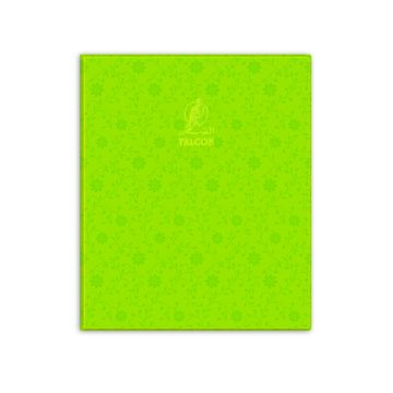 Single Line Book 10x8" Transparent 100 Sheet PVC Green - Falcon