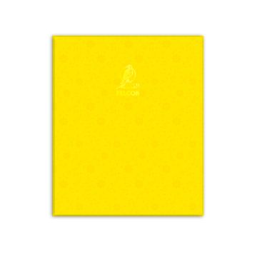 Single Line Book 10x8" Transparent 100 Sheet PVC Yellow - Falcon