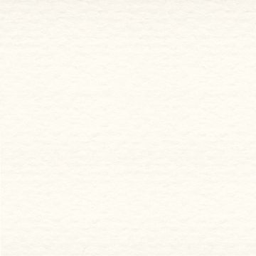 Strathmore 463-18 Mixed Media  400 Series Single Sheet 19" x 24" | 272 gsm