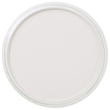 PanPastel - Neutral Grey Tint 820.8