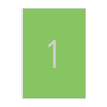 PAULI LASER LABELS A4 20 SHEET/PKT