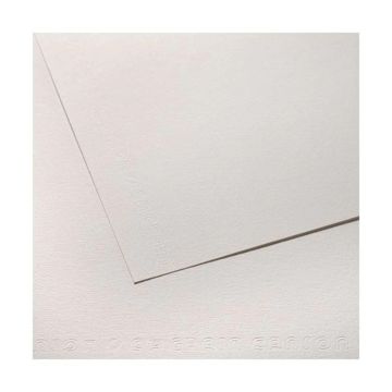 Canson C A Grain Drawing Paper Sheets,138 lb. 19" x 24" - Single Sheet