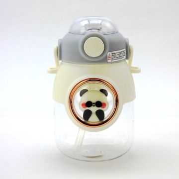 Water Bottle CH9033 Grey