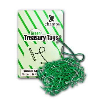 Treasury Tag 6" Pkt/100