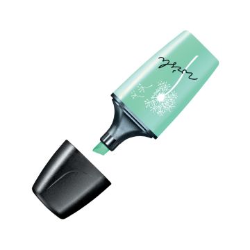 Boss Mini Pastel Hint Mint