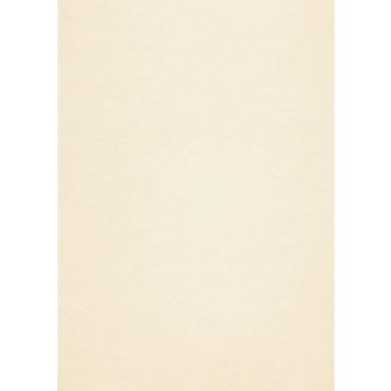 Conqueror Plain Paper 100gsm A4 Beige 100SHT